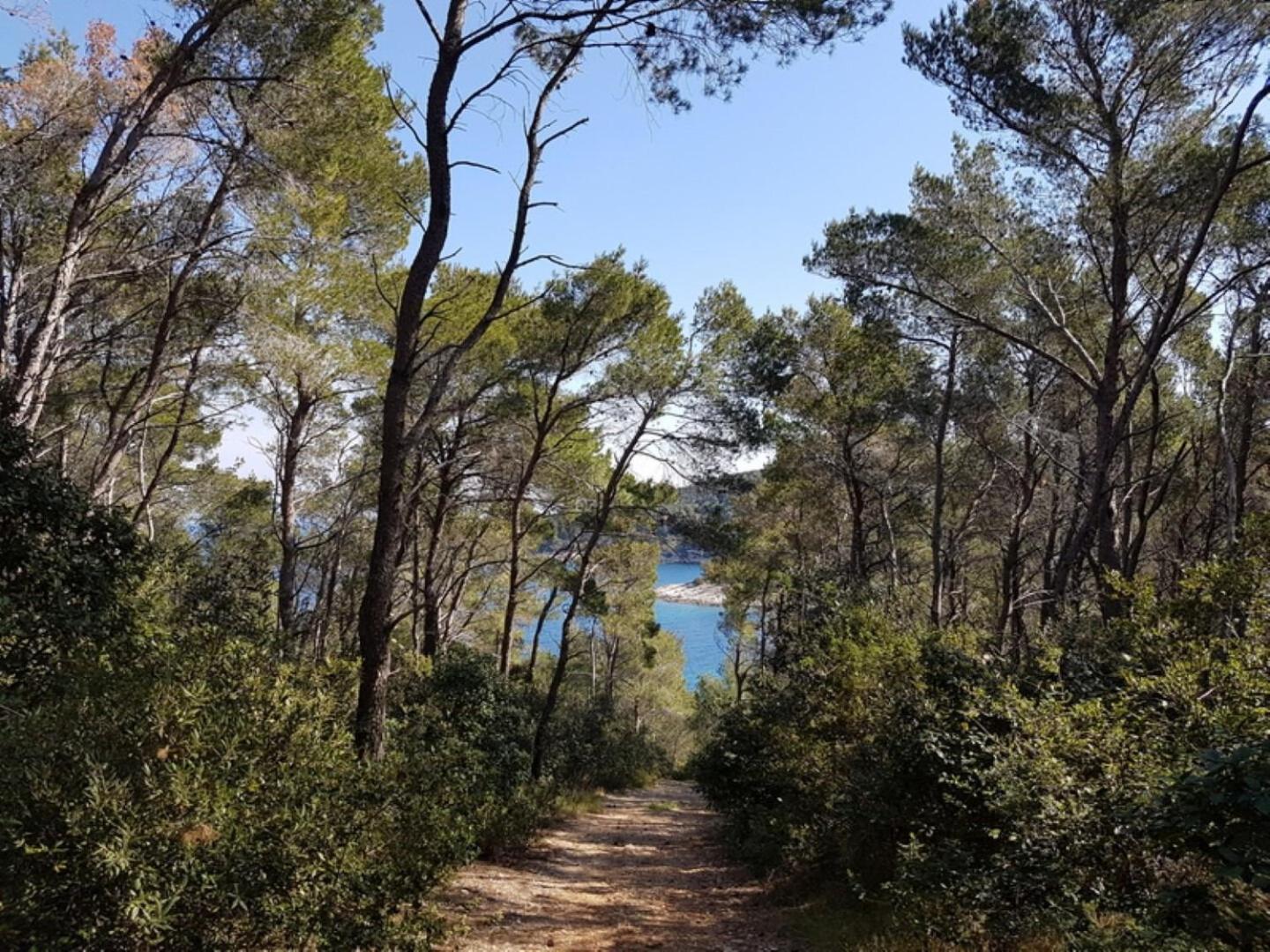 House Villa Bistrana Vela Luka Kültér fotó